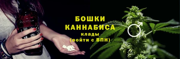 ПСИЛОЦИБИНОВЫЕ ГРИБЫ Нея
