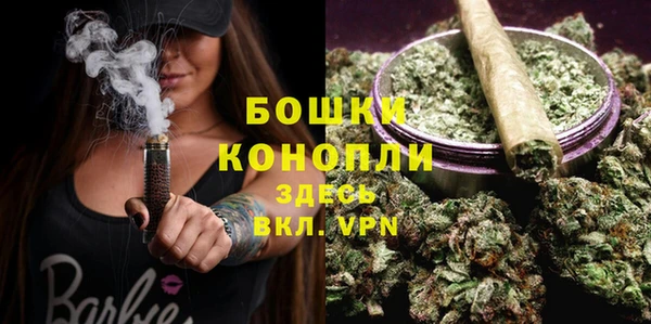 ПСИЛОЦИБИНОВЫЕ ГРИБЫ Нея