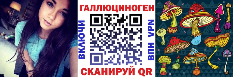 Псилоцибиновые грибы GOLDEN TEACHER  Моздок 