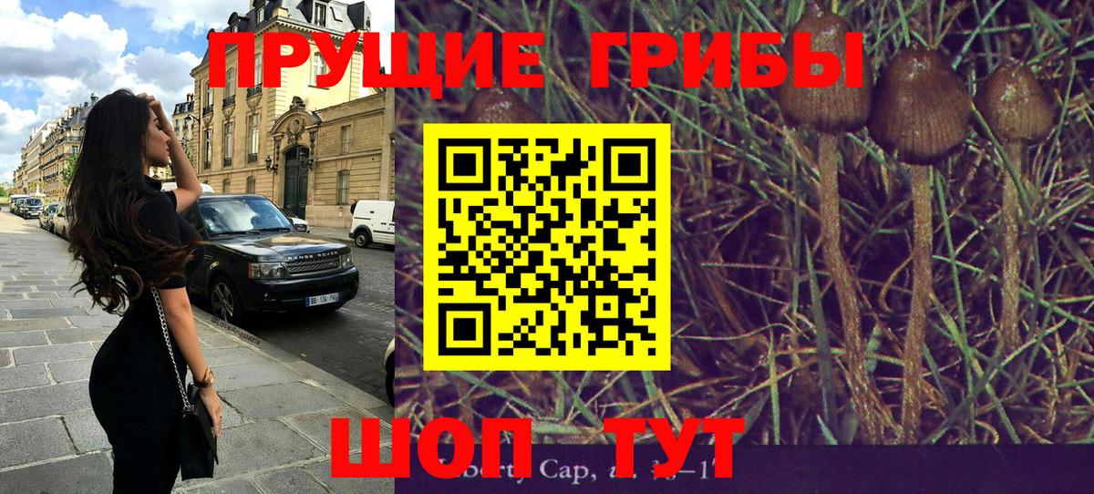 Псилоцибиновые грибы мухоморы  Вход с VPN  Моздок 