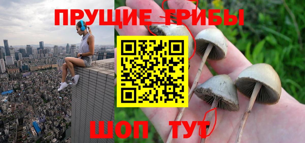 Галлюциногенные грибы Cubensis Моздок