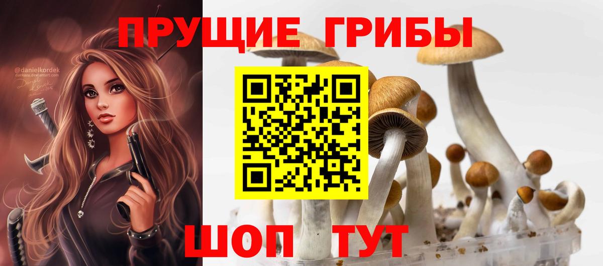 Галлюциногенные грибы MAGIC MUSHROOMS  Моздок 